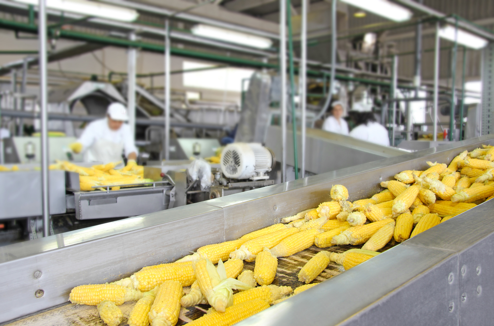 Benefits of an ERP in an Agri-Food Cooperative