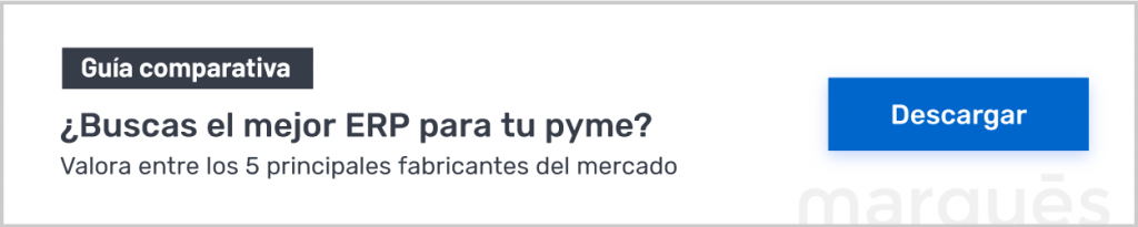 guia ERP pyme